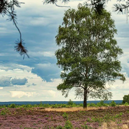 Ram 1 Διαμέρισμα Hermannsburg