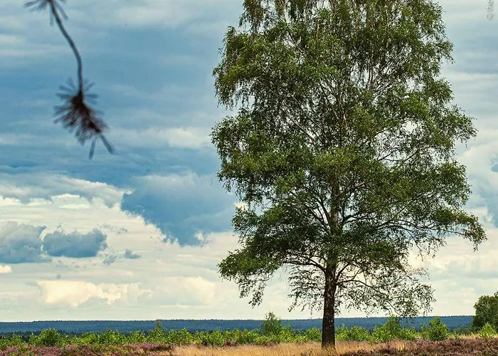 Ram 1 דירה הרמנסבורג