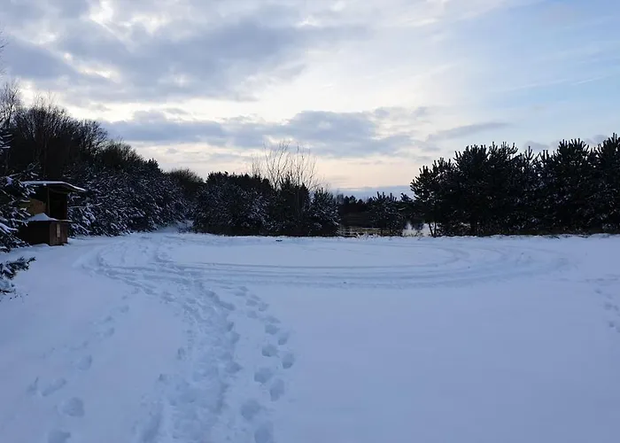 Ram 1 דירה הרמנסבורג